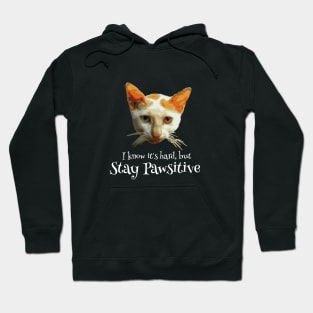 I know it's hard but stay 🐾sitive Hoodie